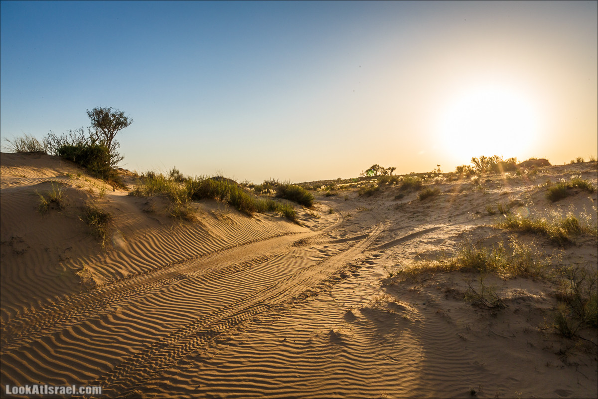 Курс вождения по бездорожью | Навигация и ориентирование на местности | LookAtIsrael.com - Фото путешествия по Израилю
