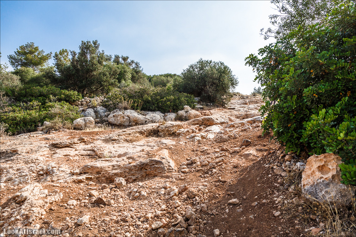 Курс вождения по бездорожью - Мишлат 21 | משלט 21 | LookAtIsrael.com - Фото путешествия по Израилю