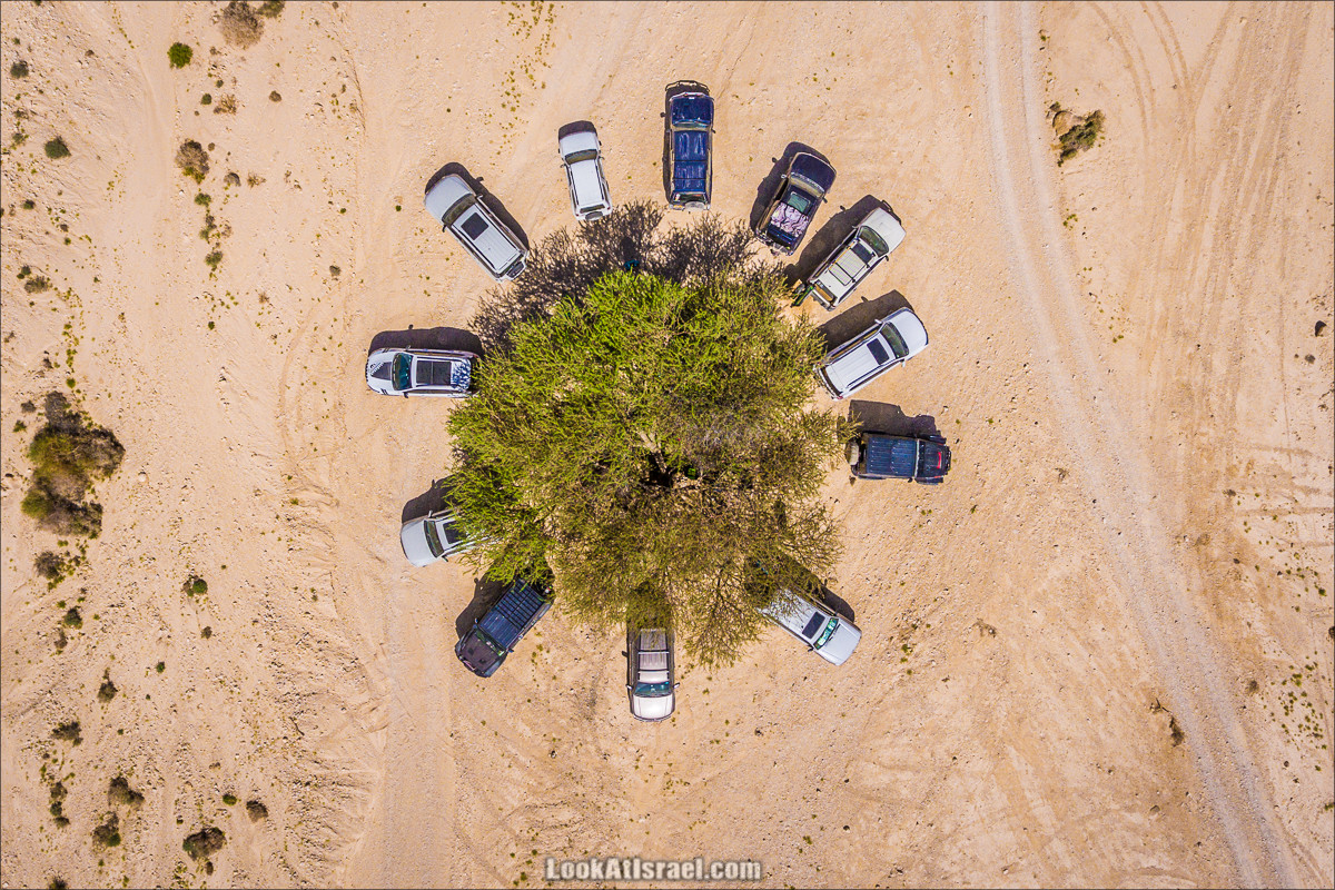 Хамса финальный курс