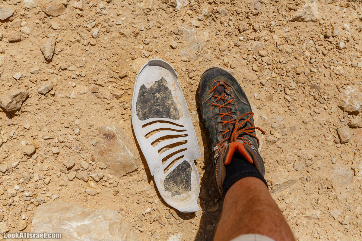 Курс вождения по бездорожью | Итоговое путешествие - Маале Ашош, Маале Ноах, Маале Барак, Маале Баба, Маале Кипа, Махтеш Рамон, Парсат Некарот, Нахаль Некарот, Нахаль Зааф, Нахаль Кацра | מעלה עשוש, מעלה ברק, מעלה נוח, פרסת נקרות | LookAtIsrael.com - Фото путешествия по Израилю