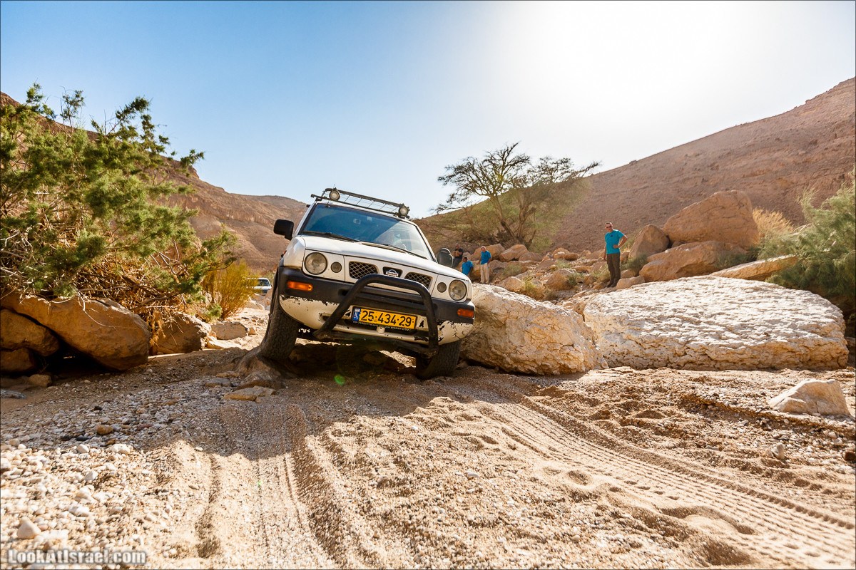 Курс вождения по бездорожью | Итоговое путешествие - Маале Ашош, Маале Ноах, Маале Барак, Маале Баба, Маале Кипа, Махтеш Рамон, Парсат Некарот, Нахаль Некарот, Нахаль Зааф, Нахаль Кацра | מעלה עשוש, מעלה ברק, מעלה נוח, פרסת נקרות | LookAtIsrael.com - Фото путешествия по Израилю
