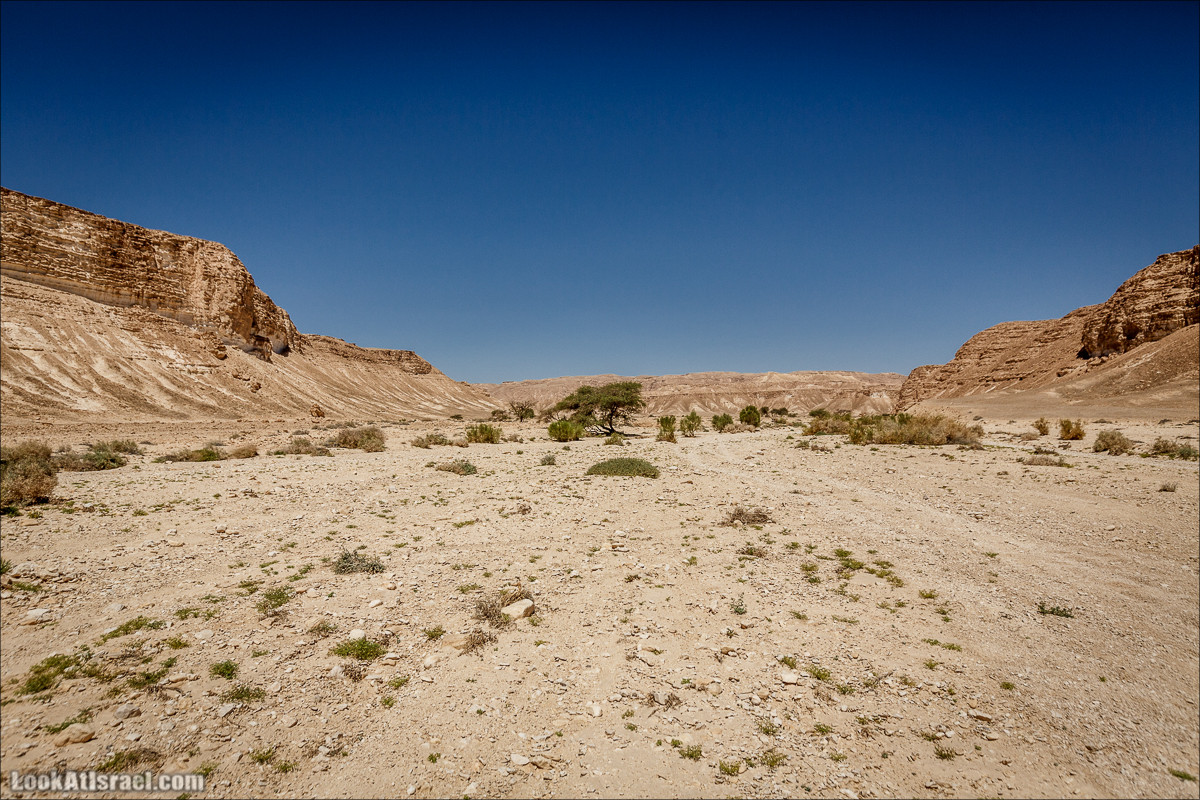 Курс вождения по бездорожью | Итоговое путешествие - Маале Ашош, Маале Ноах, Маале Барак, Маале Баба, Маале Кипа, Махтеш Рамон, Парсат Некарот, Нахаль Некарот, Нахаль Зааф, Нахаль Кацра | מעלה עשוש, מעלה ברק, מעלה נוח, פרסת נקרות | LookAtIsrael.com - Фото путешествия по Израилю
