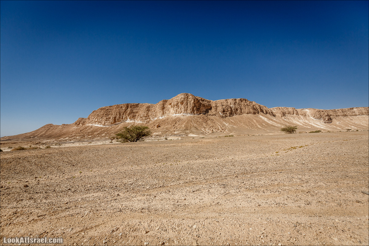 Курс вождения по бездорожью | Итоговое путешествие - Маале Ашош, Маале Ноах, Маале Барак, Маале Баба, Маале Кипа, Махтеш Рамон, Парсат Некарот, Нахаль Некарот, Нахаль Зааф, Нахаль Кацра | מעלה עשוש, מעלה ברק, מעלה נוח, פרסת נקרות | LookAtIsrael.com - Фото путешествия по Израилю