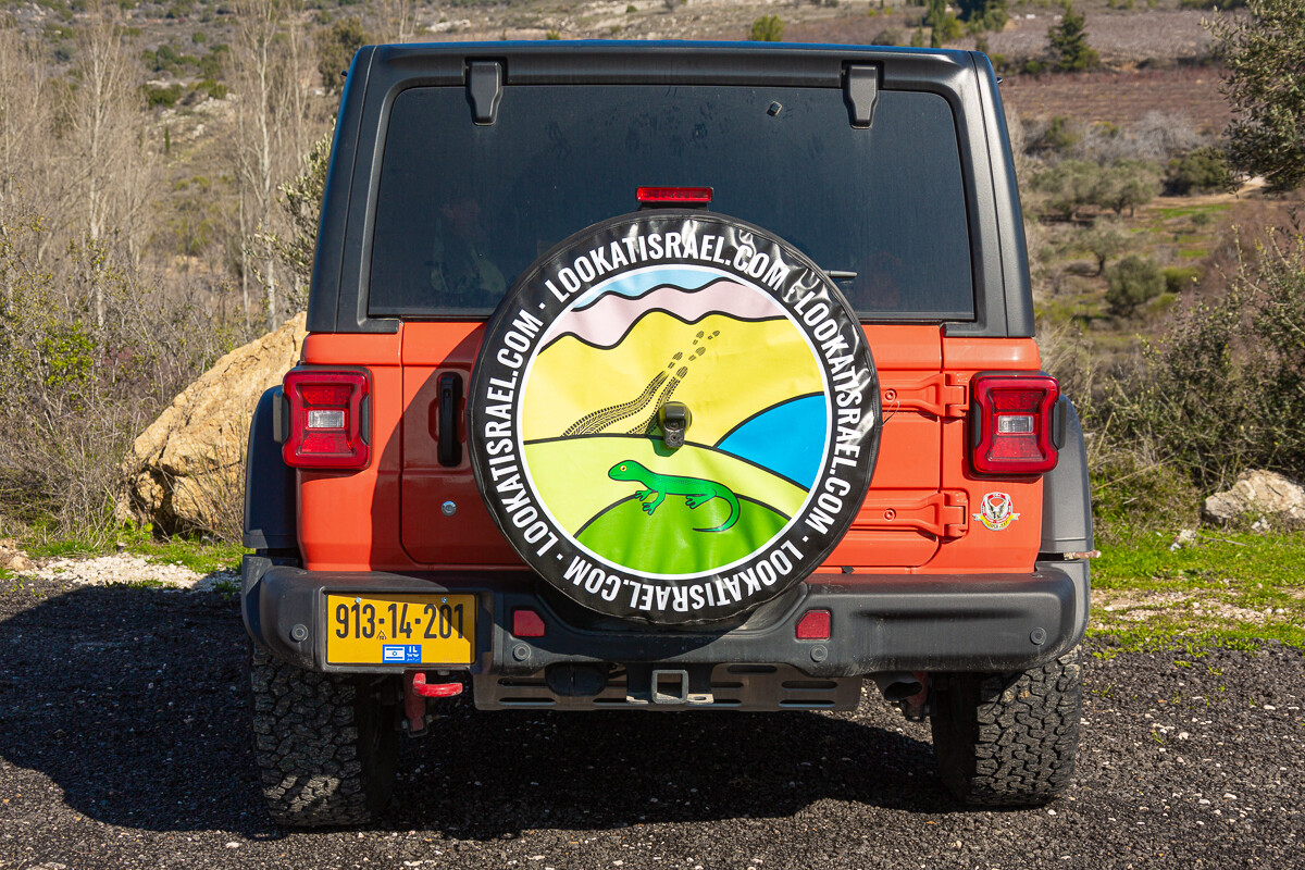 LookAtIsrael.com на дорогах страны