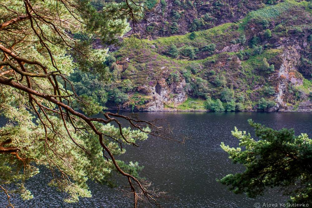 Парк путь виктории в ирландии фото