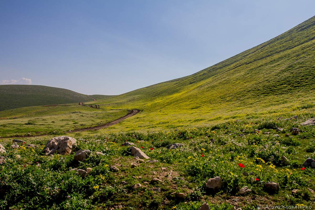 Иорданская долина фото