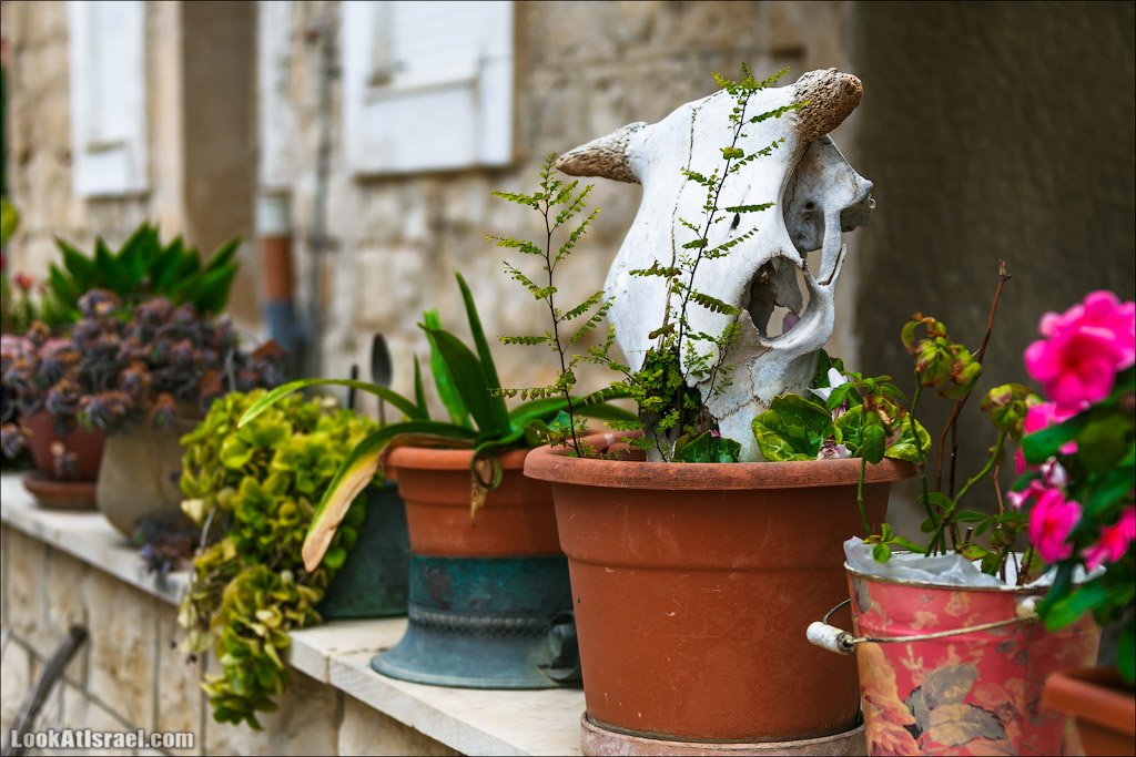 Серия рассказов о городах Израиля «Точки над i» - Зихрон Яаков | Points over Israel - Zikhron Yakov | LookAtIsrael.com - Фото путешествия по Израилю