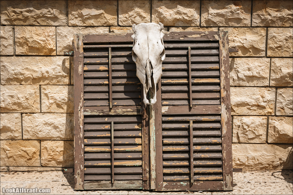 Серия рассказов о городах Израиля «Точки над i» - Зихрон Яаков | Points over Israel - Zikhron Yakov | LookAtIsrael.com - Фото путешествия по Израилю