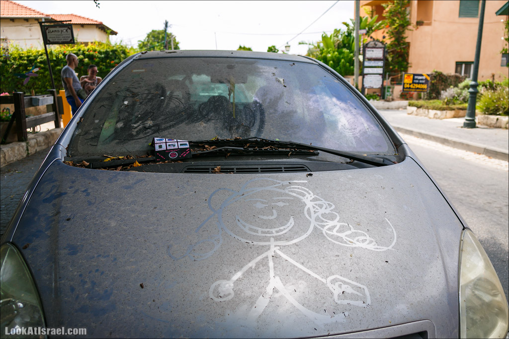 Серия рассказов о городах Израиля «Точки над i» - Зихрон Яаков | Points over Israel - Zikhron Yakov | LookAtIsrael.com - Фото путешествия по Израилю