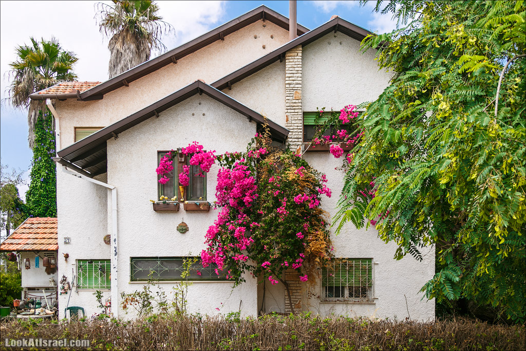 Серия рассказов о городах Израиля «Точки над i» - Зихрон Яаков | Points over Israel - Zikhron Yakov | LookAtIsrael.com - Фото путешествия по Израилю