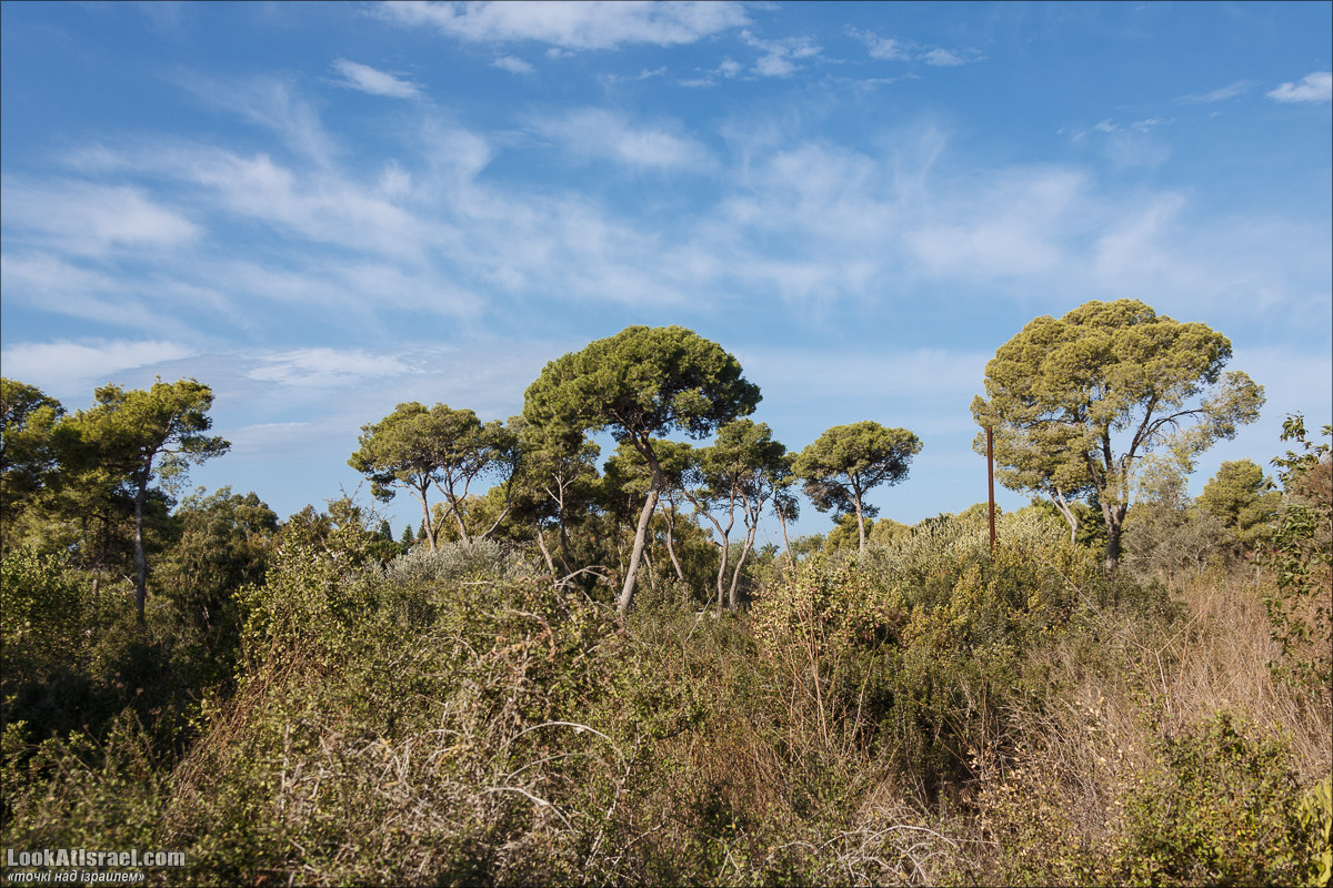 Серия рассказов о городах Израиля «Точки над i» - Зихрон Яаков | Points over Israel - Zikhron Yakov | LookAtIsrael.com - Фото путешествия по Израилю