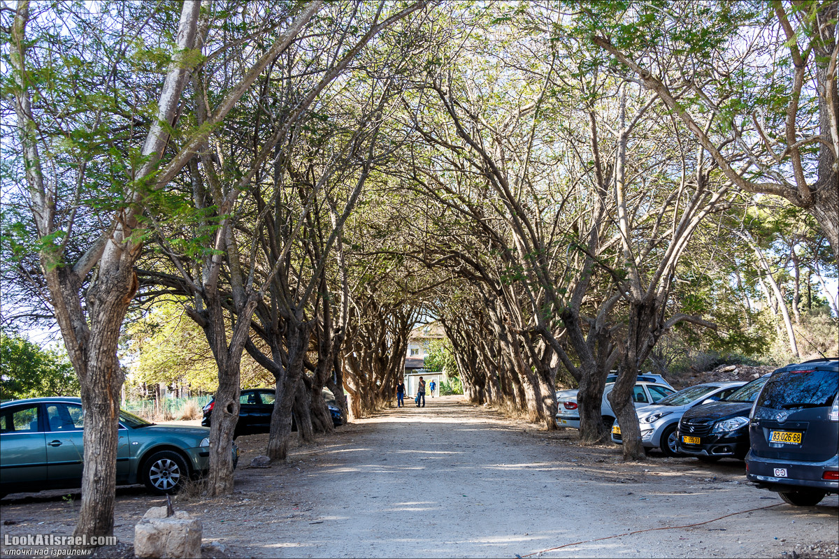 Серия рассказов о городах Израиля «Точки над i» - Зихрон Яаков | Points over Israel - Zikhron Yakov | LookAtIsrael.com - Фото путешествия по Израилю
