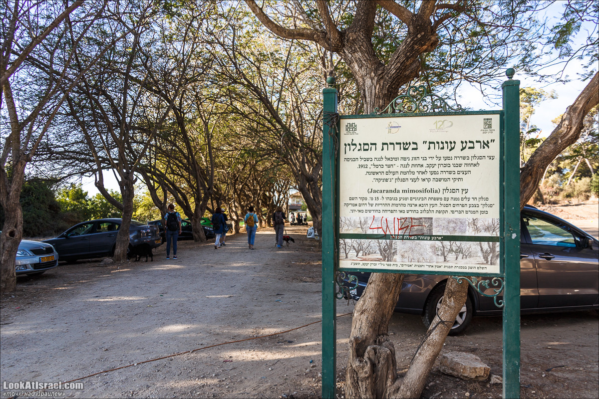 Серия рассказов о городах Израиля «Точки над i» - Зихрон Яаков | Points over Israel - Zikhron Yakov | LookAtIsrael.com - Фото путешествия по Израилю