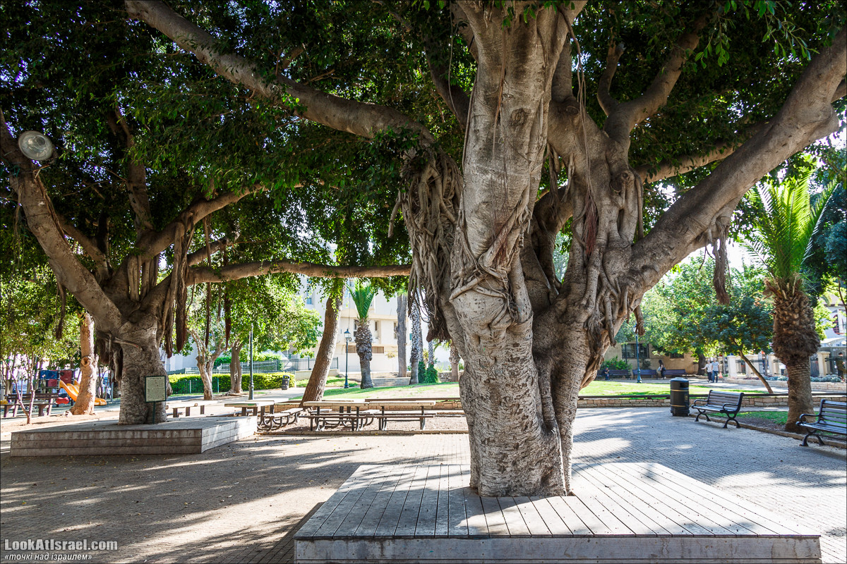 Серия рассказов о городах Израиля «Точки над i» - Зихрон Яаков | Points over Israel - Zikhron Yakov | LookAtIsrael.com - Фото путешествия по Израилю