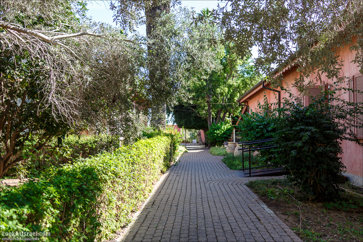 Серия рассказов о городах Израиля «Точки над i» - Зихрон Яаков | Points over Israel - Zikhron Yakov | LookAtIsrael.com - Фото путешествия по Израилю