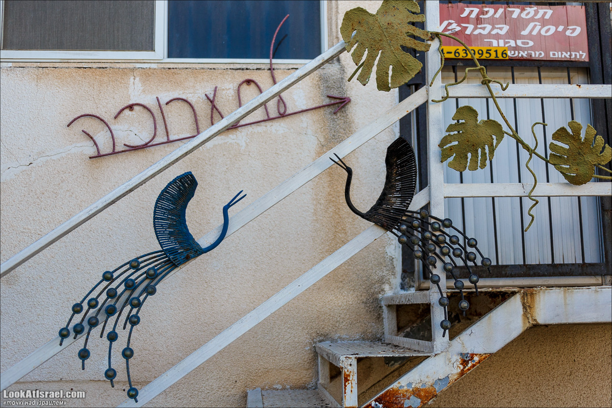 Серия рассказов о городах Израиля «Точки над i» - Зихрон Яаков | Points over Israel - Zikhron Yakov | LookAtIsrael.com - Фото путешествия по Израилю