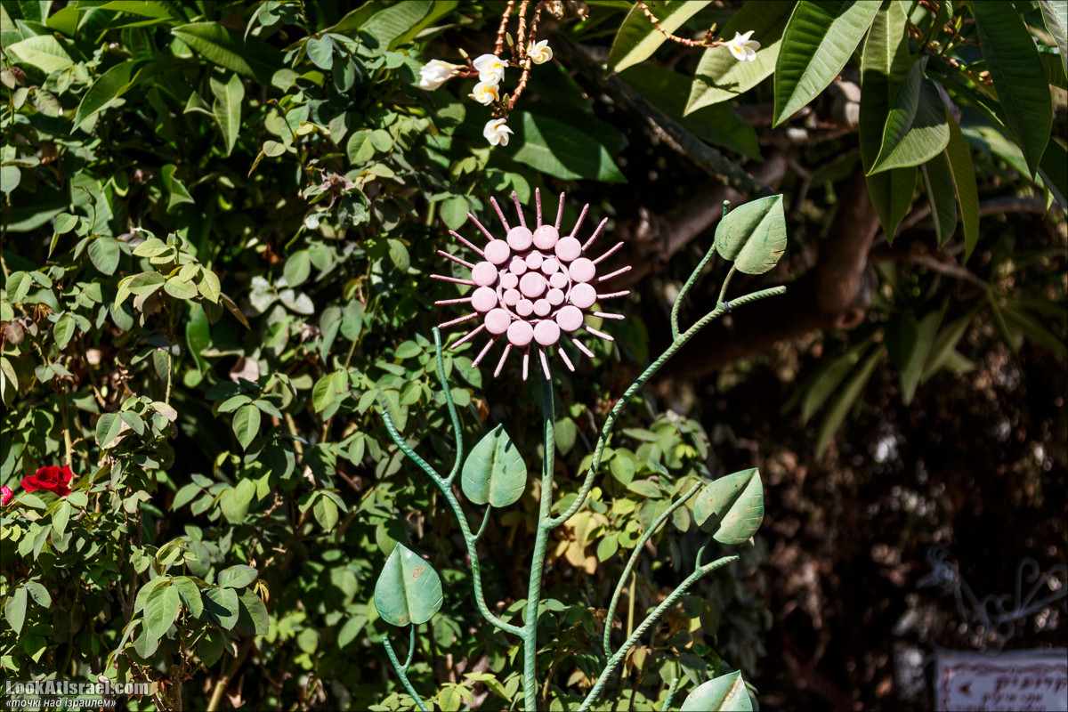 Серия рассказов о городах Израиля «Точки над i» - Зихрон Яаков | Points over Israel - Zikhron Yakov | LookAtIsrael.com - Фото путешествия по Израилю