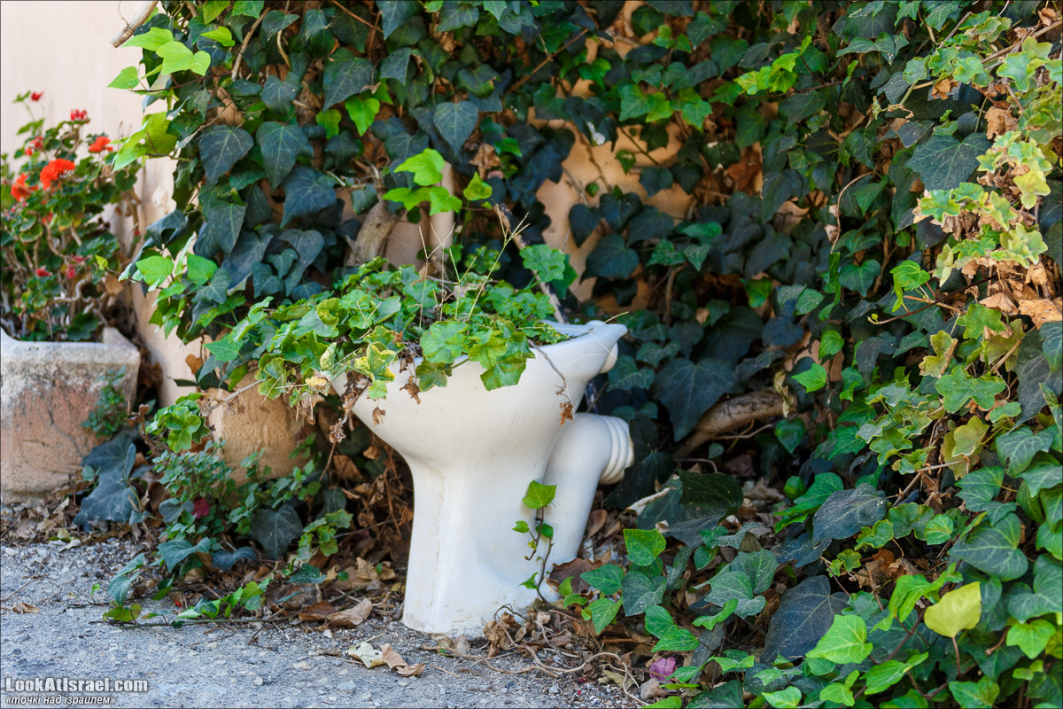 Серия рассказов о городах Израиля «Точки над i» - Зихрон Яаков | Points over Israel - Zikhron Yakov | LookAtIsrael.com - Фото путешествия по Израилю