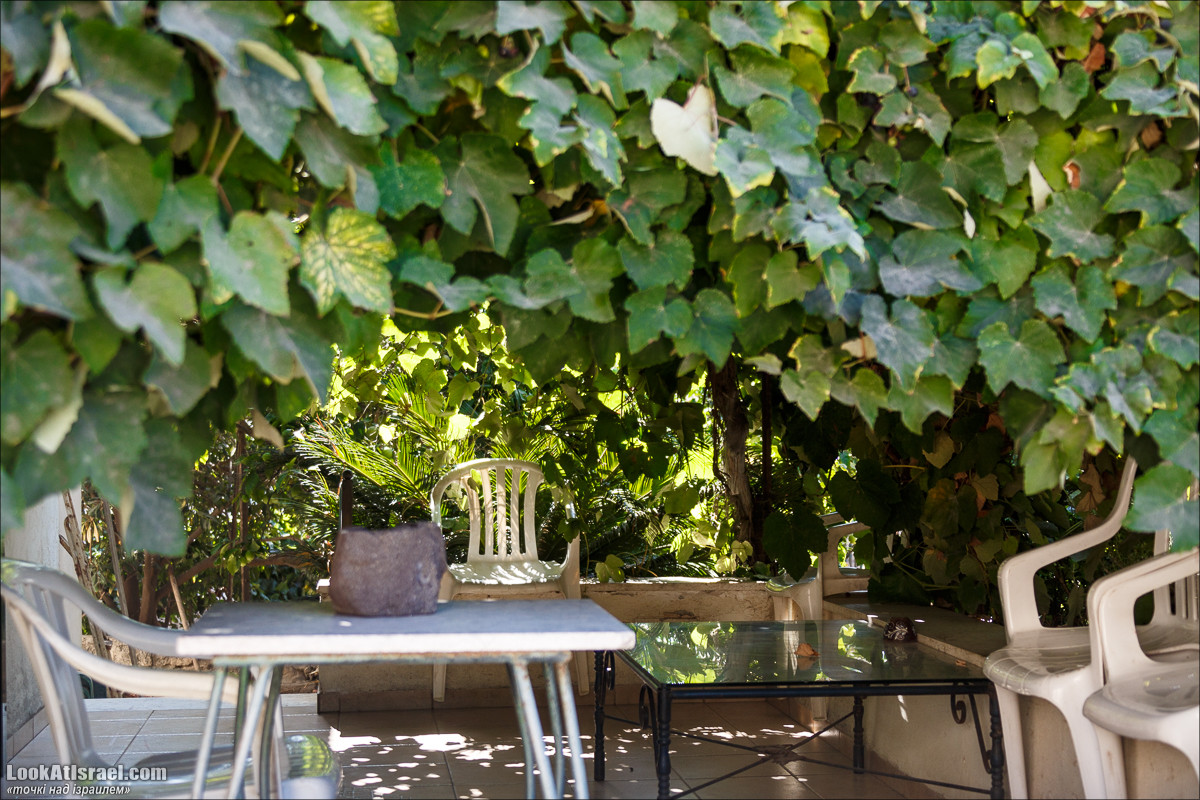 Серия рассказов о городах Израиля «Точки над i» - Зихрон Яаков | Points over Israel - Zikhron Yakov | LookAtIsrael.com - Фото путешествия по Израилю