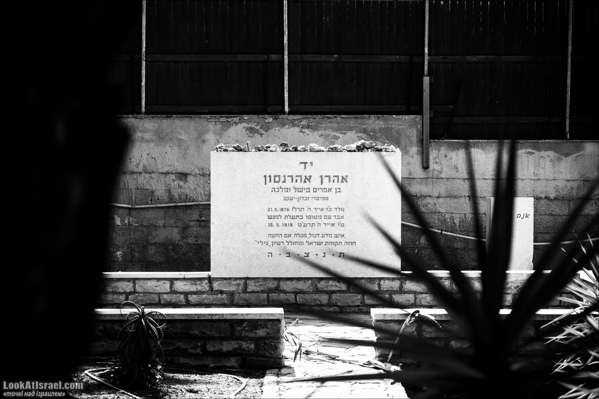 Серия рассказов о городах Израиля «Точки над i» - Зихрон Яаков | Points over Israel - Zikhron Yakov | LookAtIsrael.com - Фото путешествия по Израилю