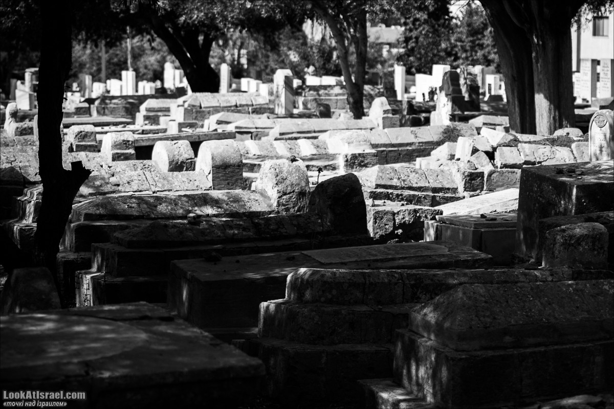 Серия рассказов о городах Израиля «Точки над i» - Зихрон Яаков | Points over Israel - Zikhron Yakov | LookAtIsrael.com - Фото путешествия по Израилю