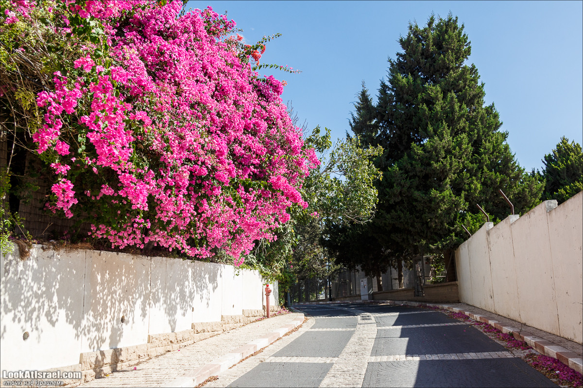 Серия рассказов о городах Израиля «Точки над i» - Зихрон Яаков | Points over Israel - Zikhron Yakov | LookAtIsrael.com - Фото путешествия по Израилю