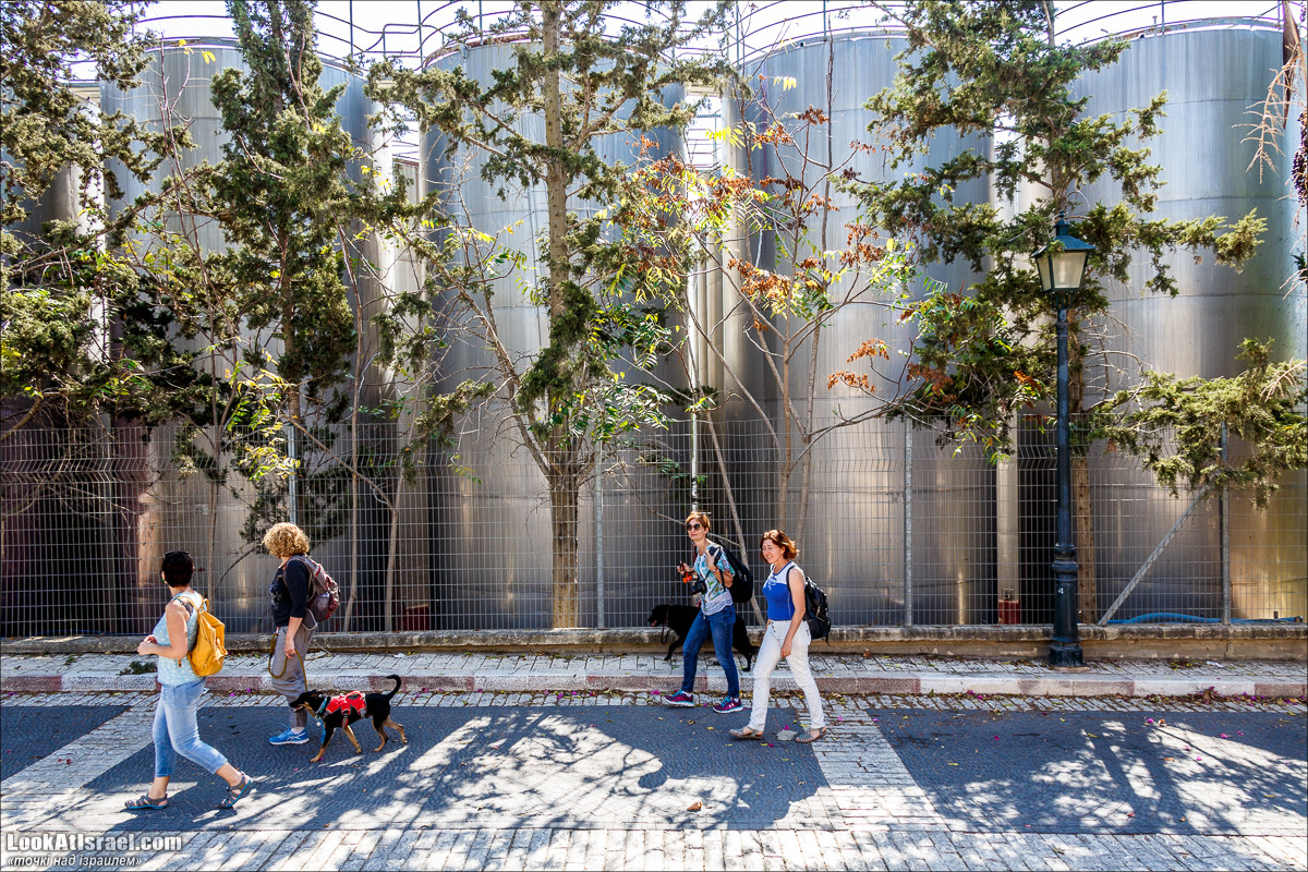 Серия рассказов о городах Израиля «Точки над i» - Зихрон Яаков | Points over Israel - Zikhron Yakov | LookAtIsrael.com - Фото путешествия по Израилю