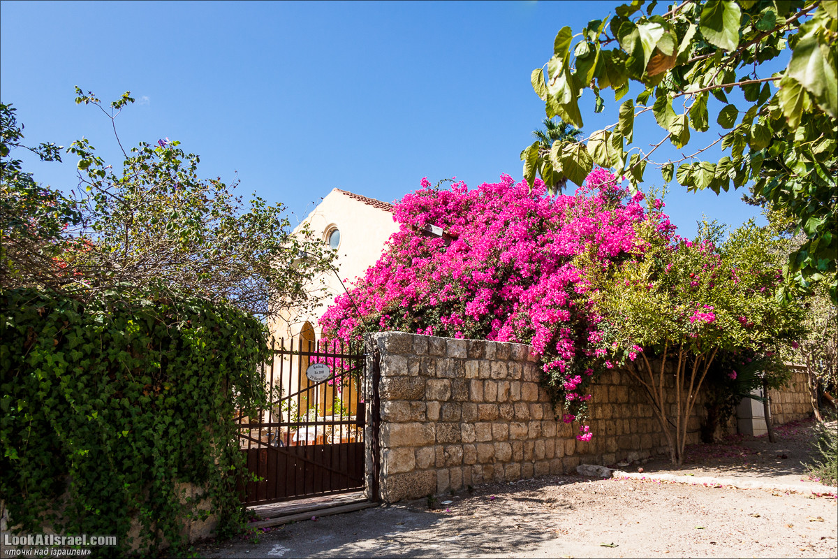 Серия рассказов о городах Израиля «Точки над i» - Зихрон Яаков | Points over Israel - Zikhron Yakov | LookAtIsrael.com - Фото путешествия по Израилю