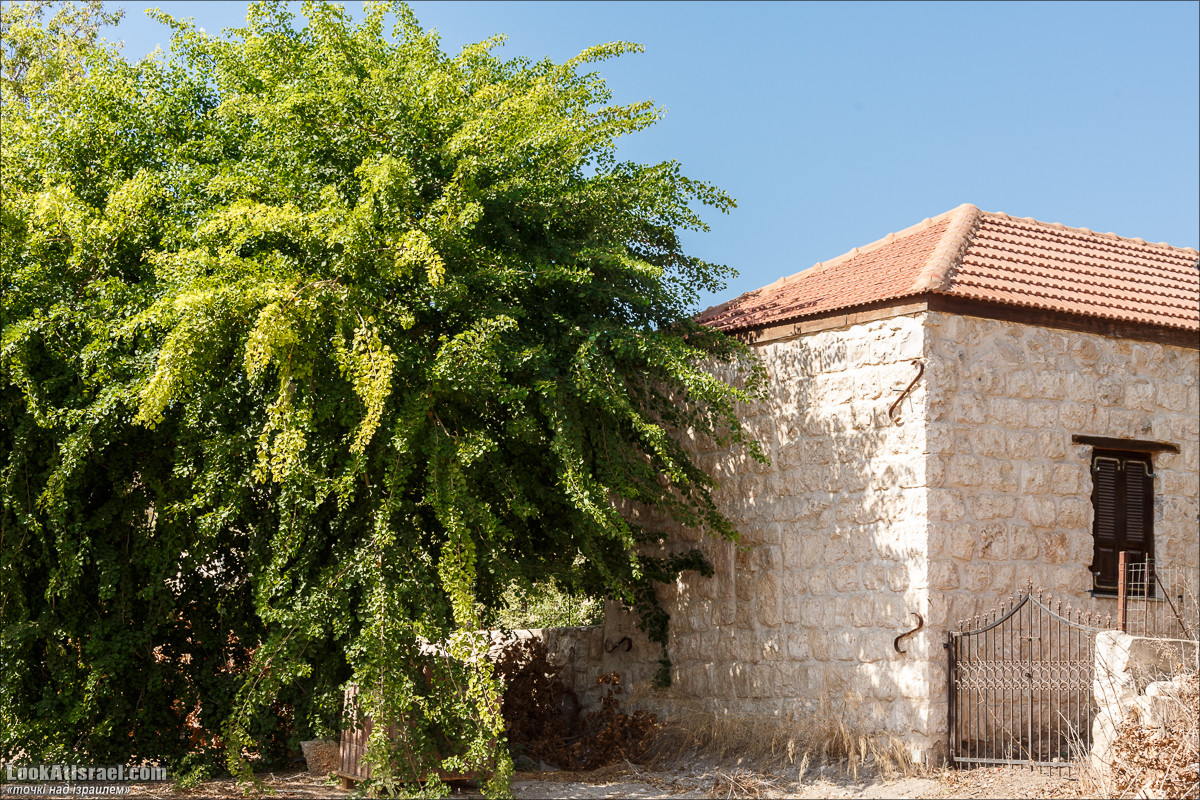 Серия рассказов о городах Израиля «Точки над i» - Зихрон Яаков | Points over Israel - Zikhron Yakov | LookAtIsrael.com - Фото путешествия по Израилю