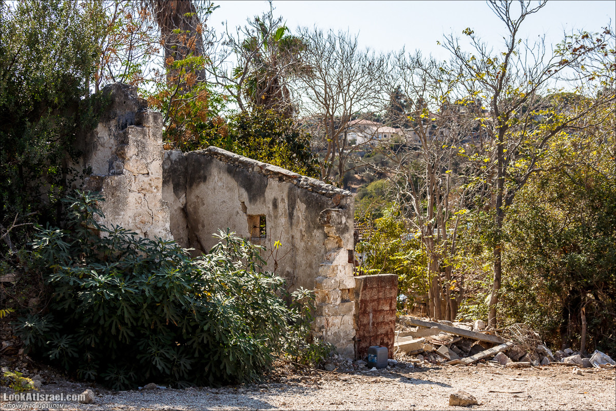 Серия рассказов о городах Израиля «Точки над i» - Зихрон Яаков | Points over Israel - Zikhron Yakov | LookAtIsrael.com - Фото путешествия по Израилю