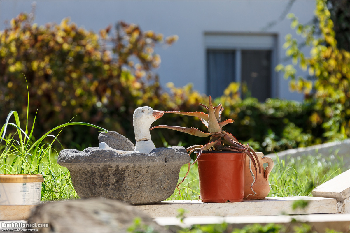 Серия рассказов о городах Израиля «Точки над i» - Зихрон Яаков | Points over Israel - Zikhron Yakov | LookAtIsrael.com - Фото путешествия по Израилю