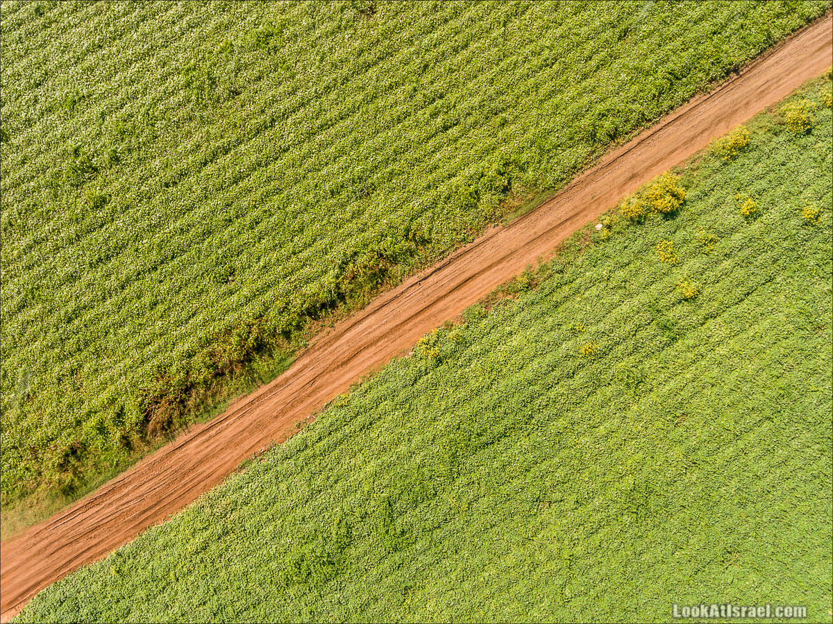 Вид сверху на Израиль | LookAtIsrael.com - Фото путешествия по Израилю