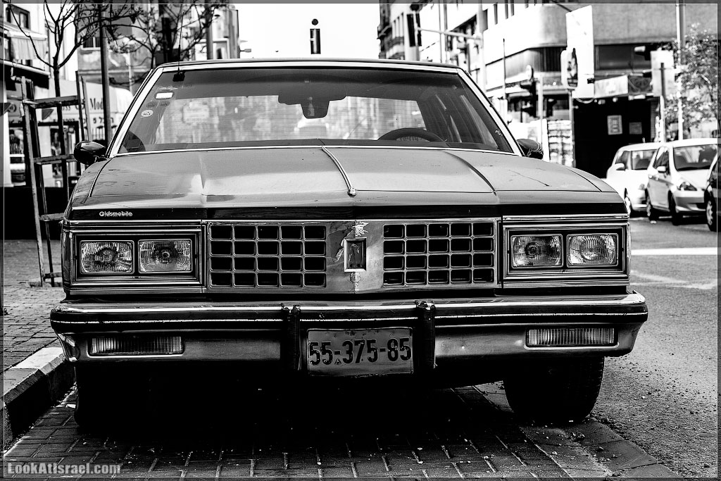 Авто портреты | LookAtAmerica.com - Большое Американское путешествие LookAtIsrael.com