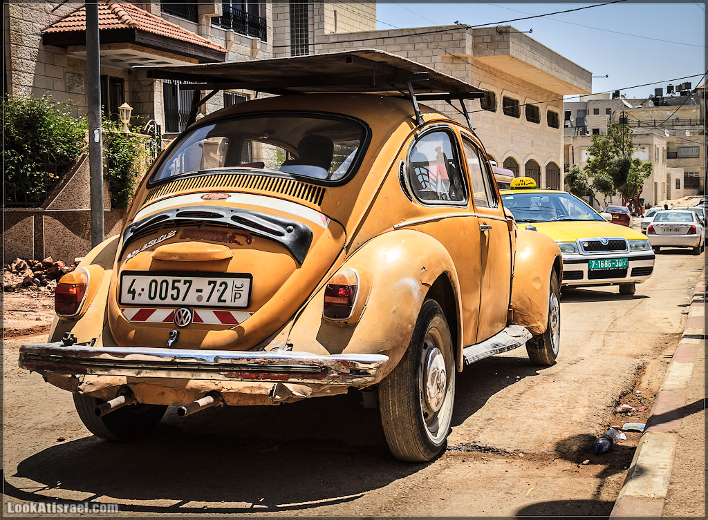 Авто портреты | LookAtAmerica.com - Большое Американское путешествие LookAtIsrael.com