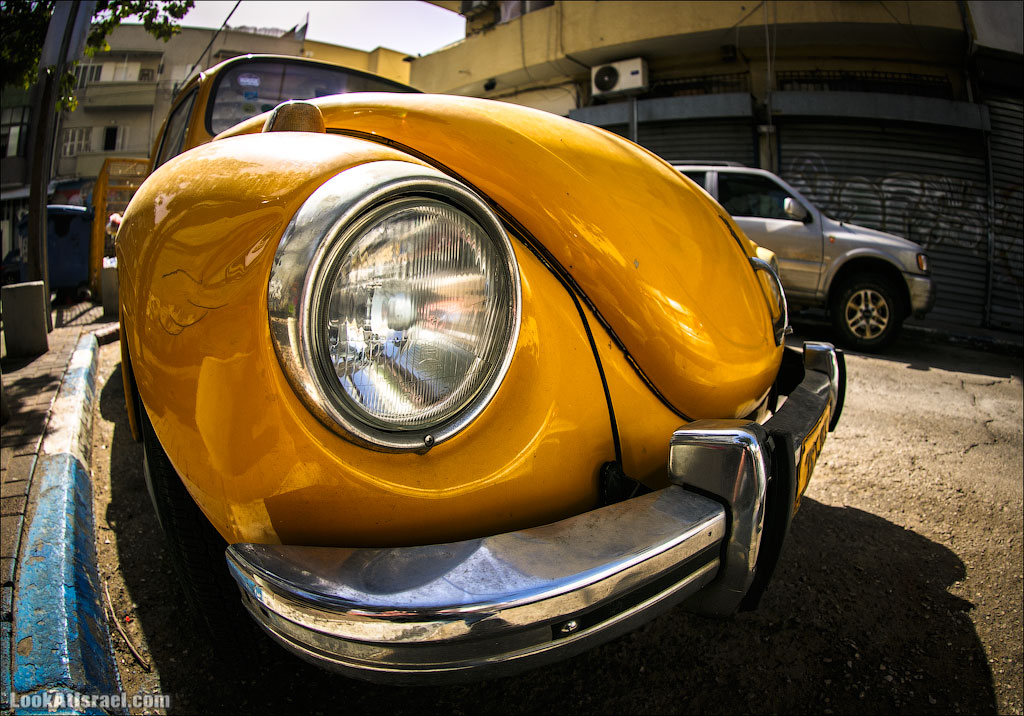 Авто портреты | LookAtAmerica.com - Большое Американское путешествие LookAtIsrael.com