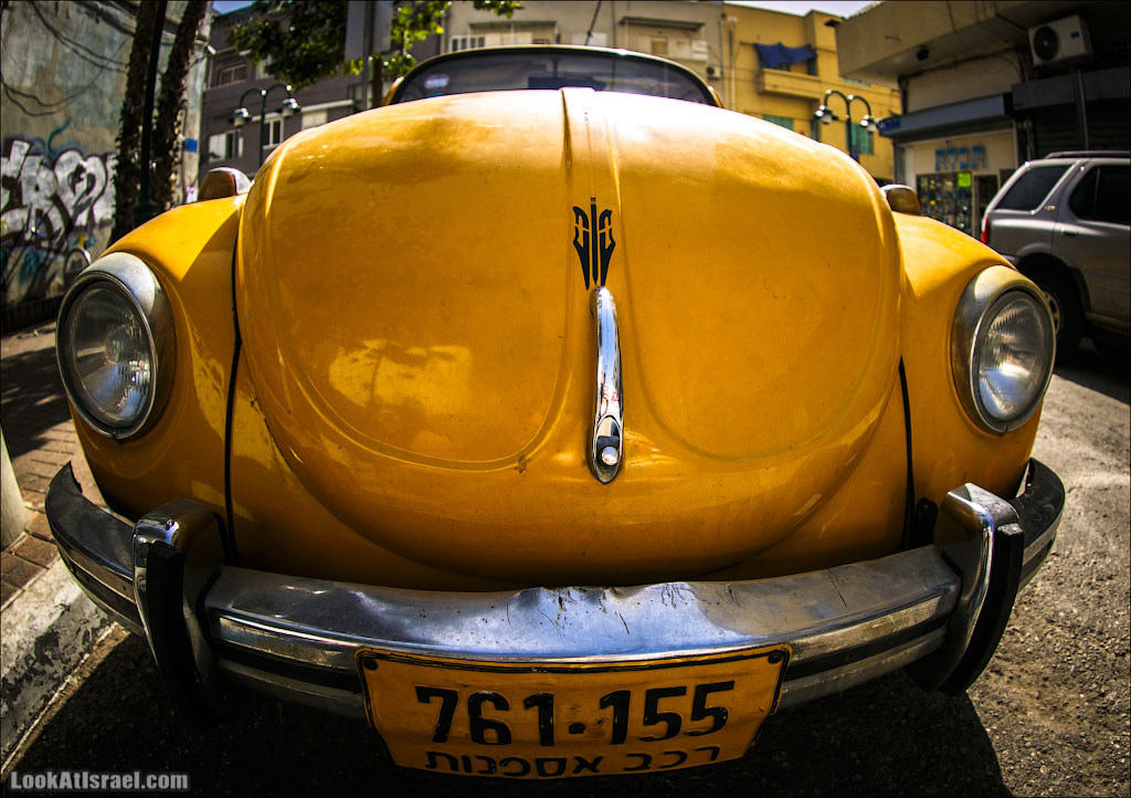 Авто портреты | LookAtAmerica.com - Большое Американское путешествие LookAtIsrael.com