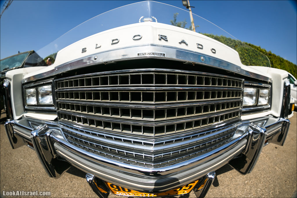 Авто портреты | LookAtAmerica.com - Большое Американское путешествие LookAtIsrael.com