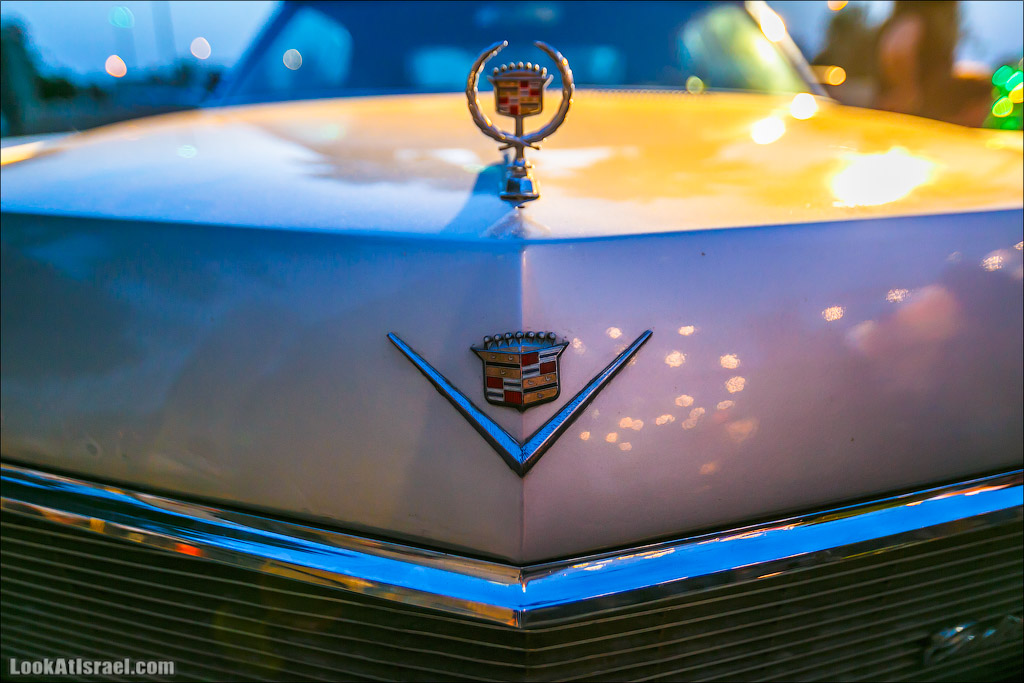 Авто портреты | LookAtAmerica.com - Большое Американское путешествие LookAtIsrael.com