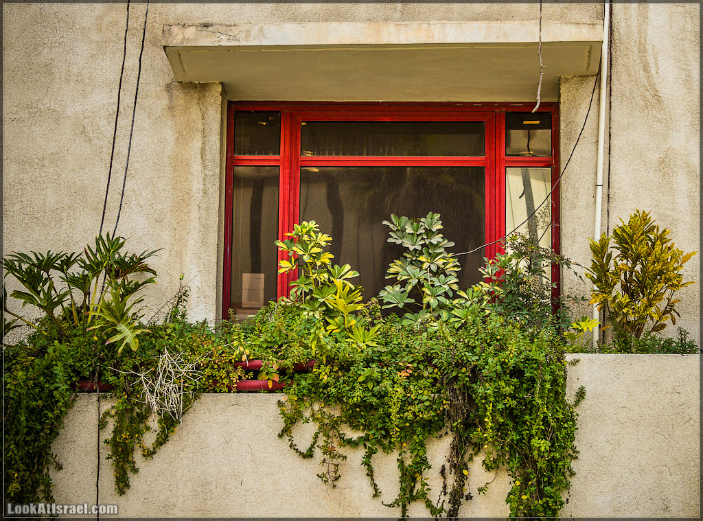 Тель-Авивские балконы | LookAtIsrael.com - Фото путешествия по Израилю