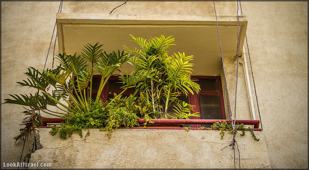Тель-Авивские балконы | LookAtIsrael.com - Фото путешествия по Израилю