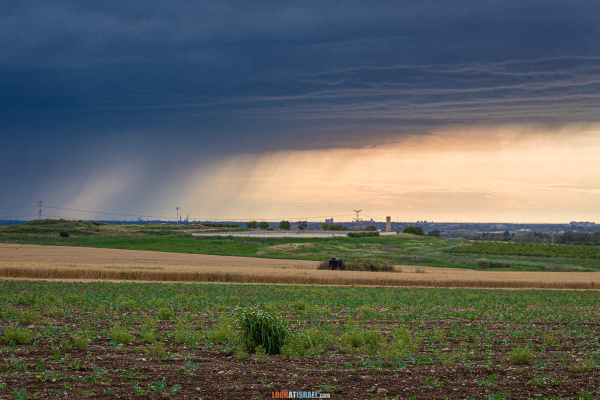 Первое путешествие после карантина, Тель Гезер