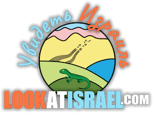 LookAtIsrael.com — Увидеть Израиль и не только