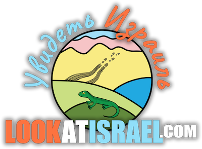 LookAtIsrael.com — Увидеть Израиль и не только