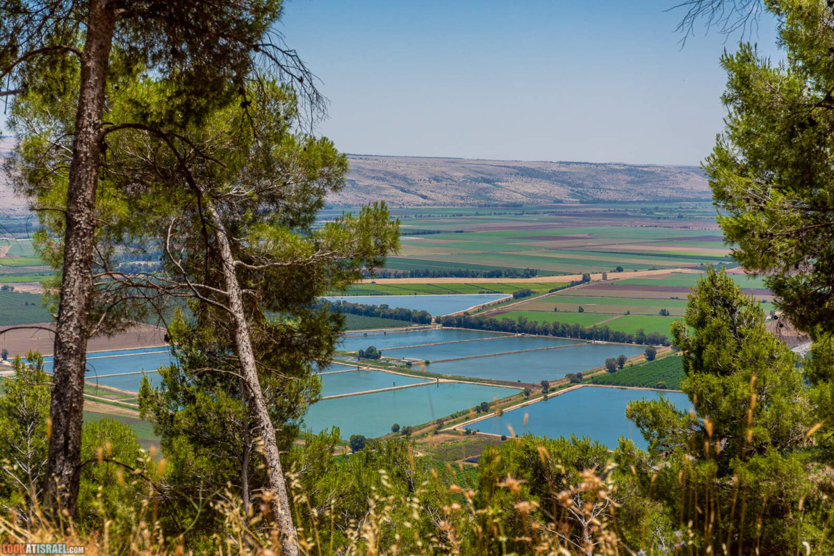 Путешествие по горам Нафтали. Крепость Бунин, Рош Пина, ручей Дишон, горный Иордан, лес Бария и источник Эйн Тау | LookAtIsrael.com - Фото путешествия по Израилю