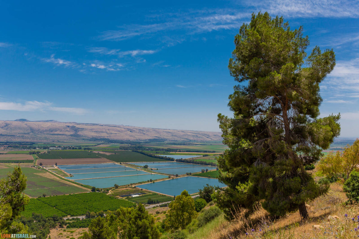 Путешествие по горам Нафтали. Крепость Бунин, Рош Пина, ручей Дишон, горный Иордан, лес Бария и источник Эйн Тау | LookAtIsrael.com - Фото путешествия по Израилю