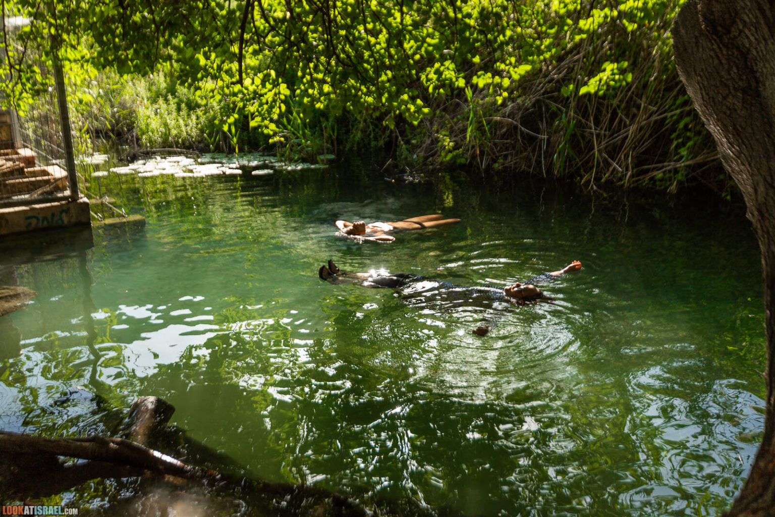 Путешествие по горам Нафтали. Крепость Бунин, Рош Пина, ручей Дишон, горный Иордан, лес Бария и источник Эйн Тау | LookAtIsrael.com - Фото путешествия по Израилю