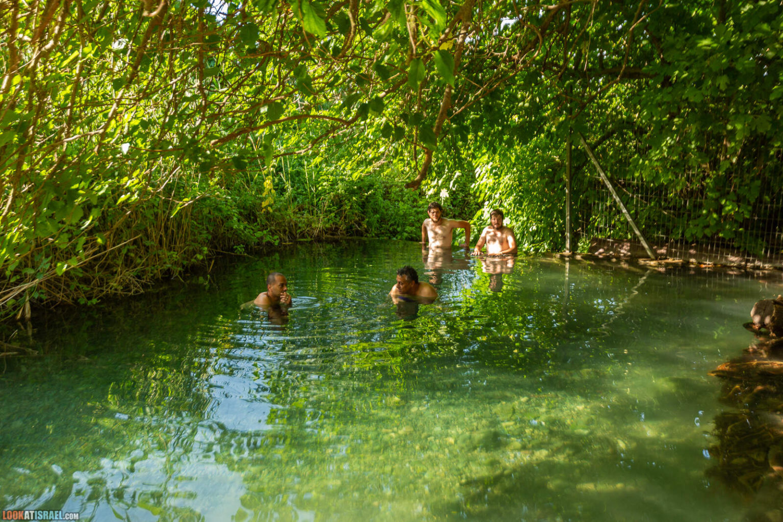 Путешествие по горам Нафтали. Крепость Бунин, Рош Пина, ручей Дишон, горный Иордан, лес Бария и источник Эйн Тау | LookAtIsrael.com - Фото путешествия по Израилю